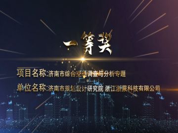 濟南市規(guī)劃院-濟南市綜合交通調查與分析
